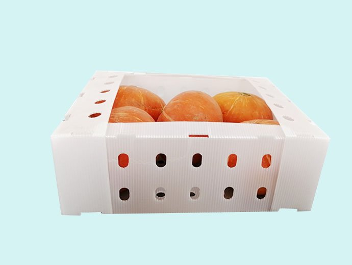 Fruit and vegetable packing box-6