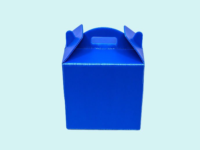 Fruit and vegetable packing box-4