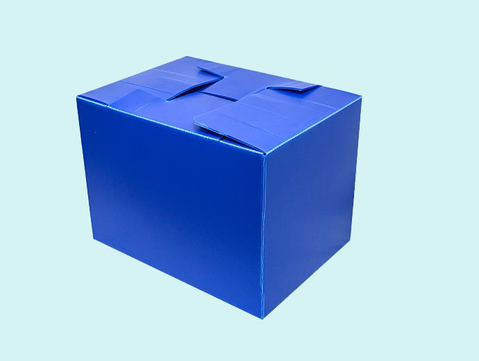 Fruit and vegetable packing box-1