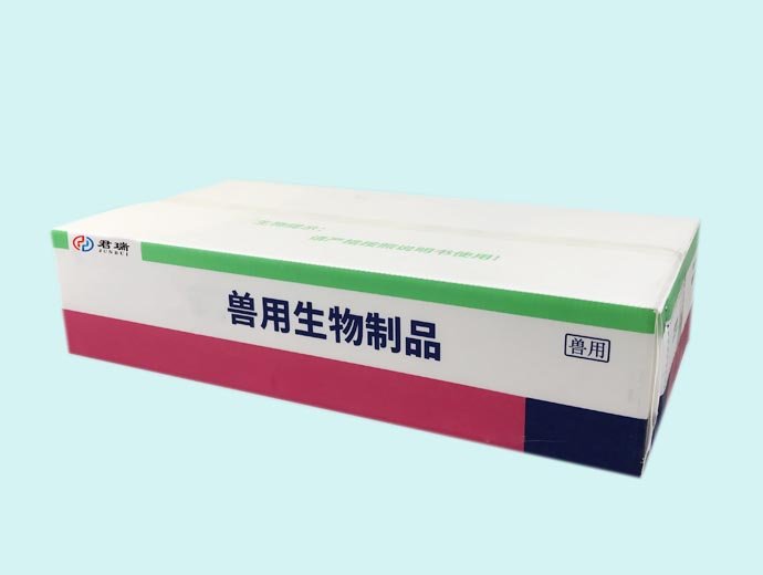 Medical packing box-2